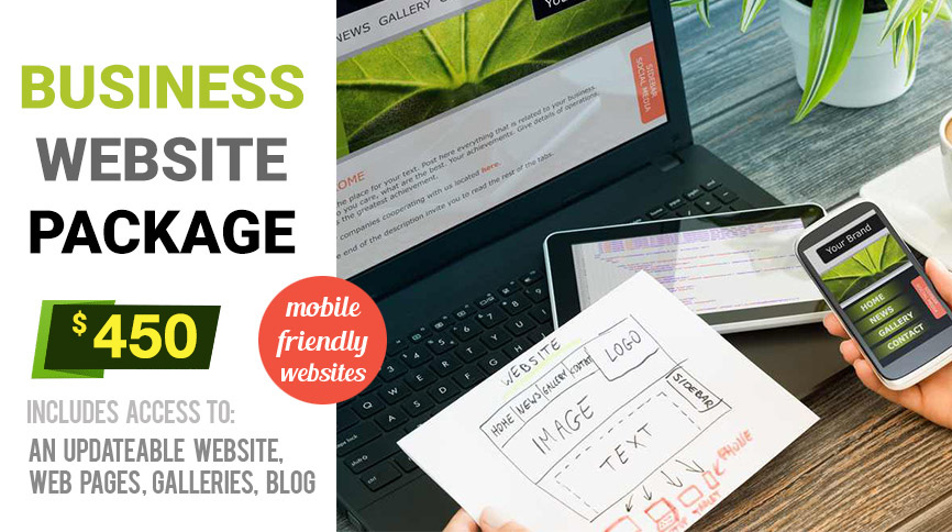 Business Website Packages